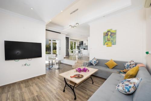 a living room with a couch and a tv at Residence Villa 1 in Oludeniz