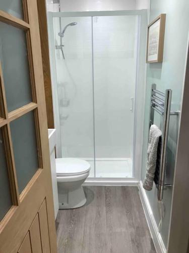 a bathroom with a toilet and a glass shower at Otter's Reach in Budleigh Salterton