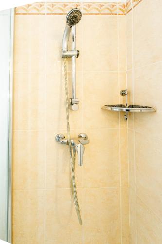 une douche avec pommeau de douche dans une salle de bain dans l'établissement Palais Magnan 4 Pers WiFi AC, à Nice