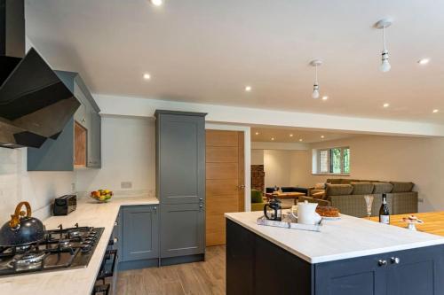 a kitchen with blue cabinets and a stove top oven at Errwood, woodland lodge with hot tubs for 14 in Oakamoor