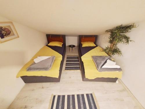 two beds in a small room with a plant at Red Clay Apartments City Club in Belgrade