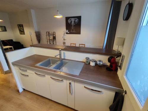 une cuisine avec un évier et un plan de travail dans l'établissement Appartement intra muros, à Avignon