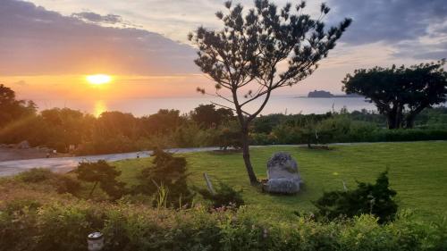 a tree in a field with the sunset in the background at 三仙台日出民宿 in Chenggong
