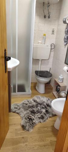 a bathroom with a toilet and a rug on the floor at Un NIDO tra i monti in Piancavallo