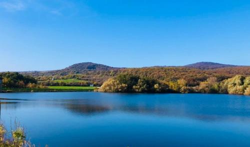 Gambar di galeri bagi Cozy house in Pezinok di Pezinok