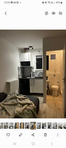 une salle de bain avec un lit, un lavabo et des toilettes dans l'établissement Studette cosy ideal pour un séjour parisien métro Duroc, à Paris