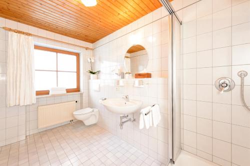 W łazience znajduje się umywalka, toaleta i prysznic. w obiekcie Haus Alpenecho w mieście Mittelberg