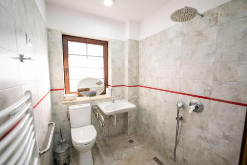 a bathroom with a toilet and a sink at Casa Andra in Siret