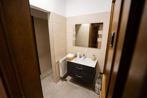 a bathroom with a sink and a mirror at Casa Andra in Siret
