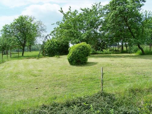 a bush in a field with a swing at Chez leontine in Puilly-et-Charbeaux