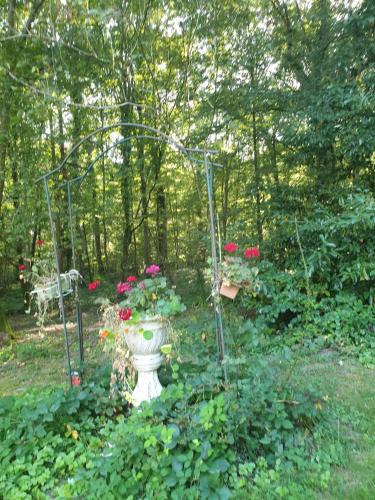a garden with a vase with flowers in it at La Calèche in Montévrain