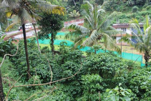 Κήπος έξω από το KSK Homes Munnar
