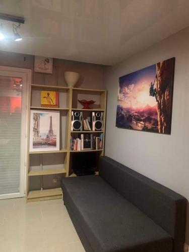 un salon avec un canapé et une étagère dans l'établissement Maison entière entre Orléans et Montargis, à Chailly-en-Gâtinais