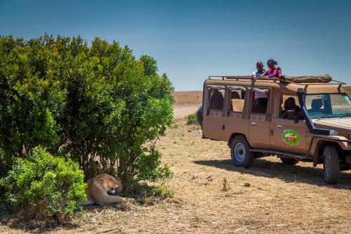 a lion laying on the ground next to a vehicle at Mara Leisure Camp in Talek
