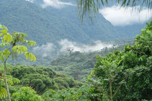 a view of a mountain with clouds in the distance at Ecolirios Boutique Hotel & Villas in Guácimo