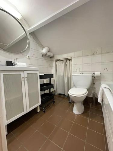 une salle de bain avec toilettes, lavabo et miroir dans l'établissement Cosy appartement place des Abbesses-Sacré-Cœur !, à Paris