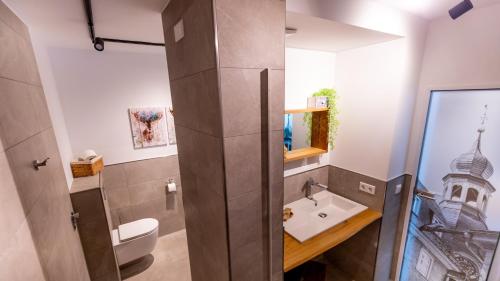 a bathroom with a shower with a sink and a toilet at Alt Monjoie in Roetgen
