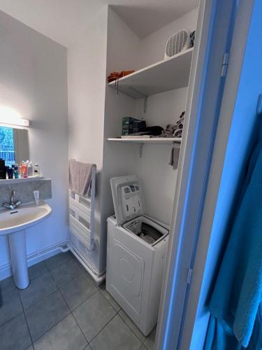 a bathroom with a washing machine and a sink at Appartement centre ville et terrasse in Brive-la-Gaillarde