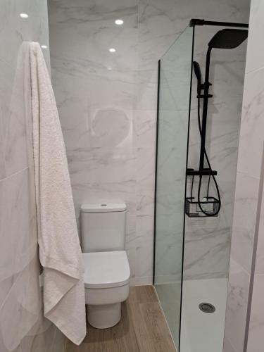 a bathroom with a toilet and a glass shower at La Rua 25 in Castro-Urdiales