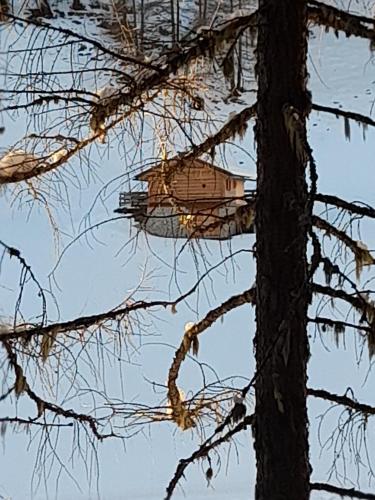 a bird house sitting on a tree branch at Casa Maria Beatrice in Mühlbach
