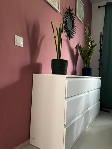 a white dresser with two potted plants on top at La Chata in Costa Calma