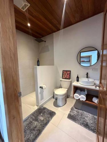 a bathroom with a toilet and a sink and a mirror at Refugio Monteverde house, privacy & ocean view! in Monteverde Costa Rica