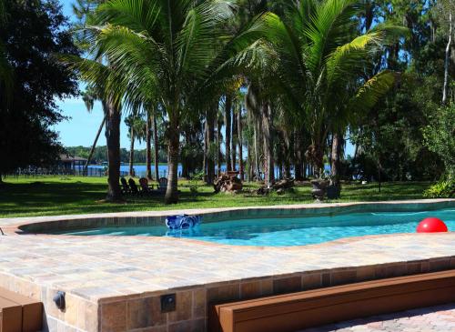 a swimming pool with palm trees in the background at The Little Retreat, Solo, Couples & Small Families in Sebring