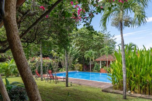 a pool in the garden of a villa at Casa Mapache in Tamarindo