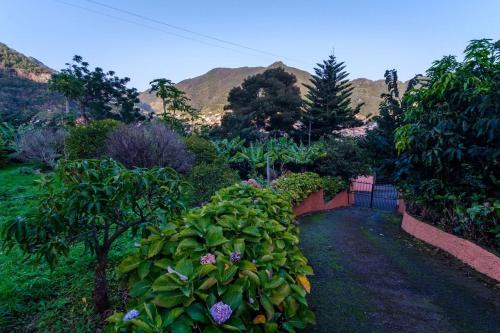 GuestReady - A charming experience in Madeira