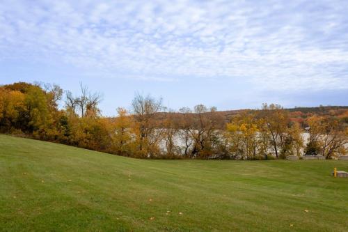 un prato con alberi sullo sfondo di Vineyard Suite - Family Friendly in Picton PEC a Picton