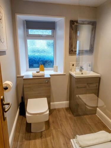 a bathroom with a toilet and a sink and a window at Hill Street Cottage in Portpatrick