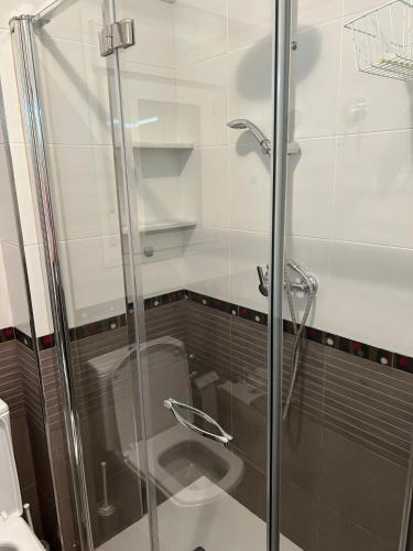 a bathroom with a glass shower with a toilet at San Miguel in Almería