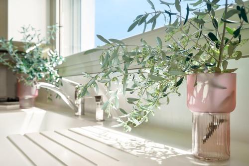 Сад в Villa Anastasia with private heated pool and privacy