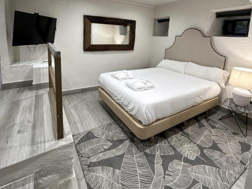 a bedroom with a bed and a flat screen tv at EL PALACETE SOÑADO o in La Roza