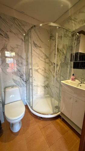 Un baño con ducha, inodoro y lavabo. en Apartamenti, en Riga
