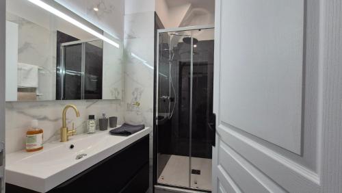 une salle de bain avec une douche, un lavabo et un miroir dans l'établissement Appartement Le Napoléon Rouen Hypercentre, à Rouen