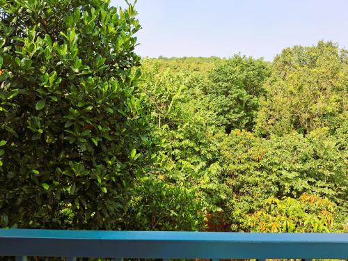a view of a forest of bushes and trees at Arambol Bliss Hotel Apartments in Arambol
