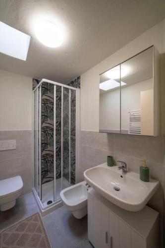 a bathroom with a sink and a toilet and a mirror at Tana LEONE in Marone