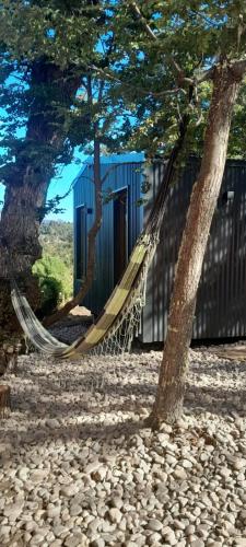 amaca appesa a un albero accanto a un edificio di dormis bar a San Martín de los Andes