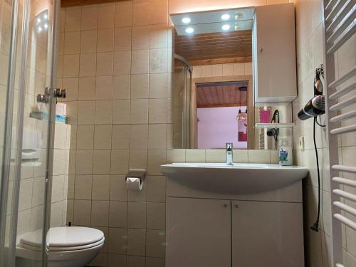 フィーホーフェンにあるResidenz am Erzbach Top 2A - 2Bの洗面台とトイレ付きのバスルーム