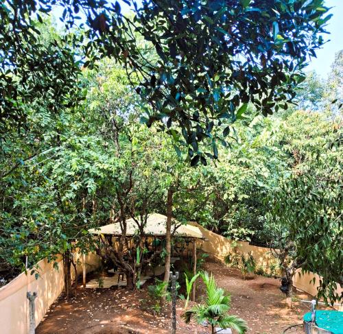 a garden with a gazebo and some trees at Arambol Bliss Hotel Apartments in Arambol