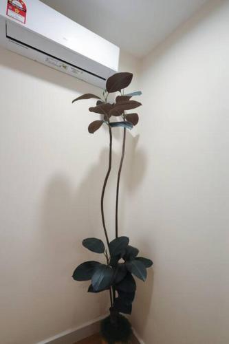 a plant in a vase next to a wall at JB 19pax Premium Skudai Party House in Skudai
