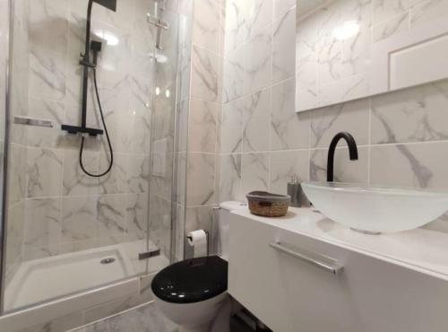 une salle de bain avec une douche, des toilettes et un lavabo dans l'établissement Logement de charme proche centre-ville - TV - WiFi, à Dijon