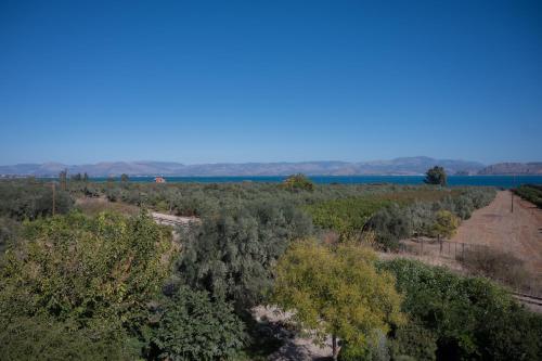 an overhead view of a field with trees and water at Elysian Garden Villa in Míloi
