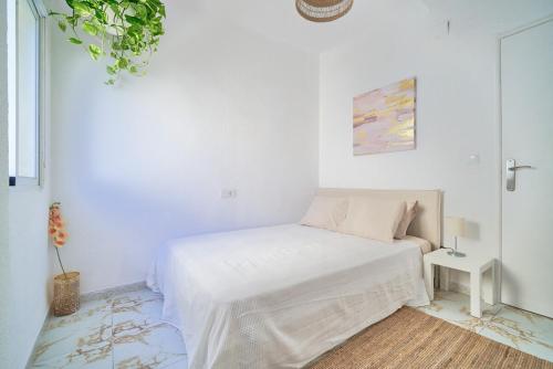 Soho Boho Malaga