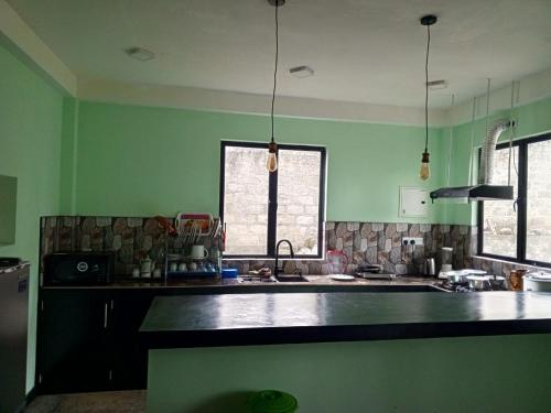 Kuchyň nebo kuchyňský kout v ubytování Ashoak villa