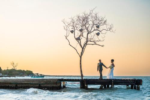 a bride and groom standing on a pier with a tree at Fenix Beach Cartagena in Tierra Bomba