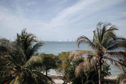 two palm trees on a beach with a city in the distance at Fenix Beach Cartagena in Tierra Bomba