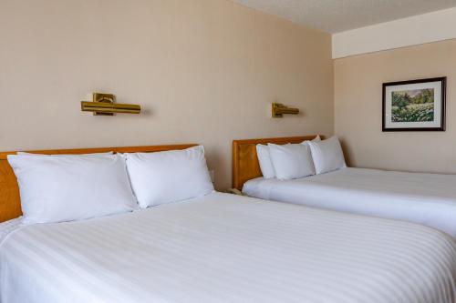 two beds in a hotel room with white pillows at Hôtels Gouverneur Trois-Rivières in Trois-Rivières