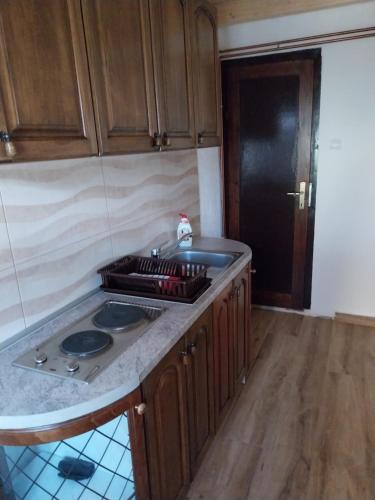 Kuchyň nebo kuchyňský kout v ubytování Rent a rooms - "Laki"